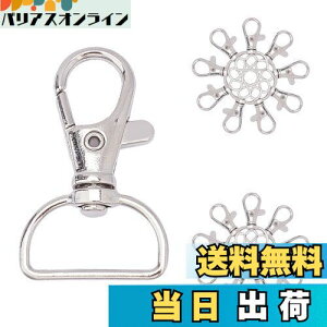 yzPH PandaHall L[z_[ ]tbN  iXJ p[c 20 42x25mm DIYp |pi ANZT[p[c  WG[p nhCh Ntgpi