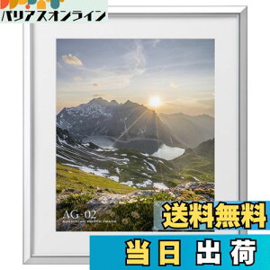 【送料無料】ハクバ HAKUBA 額縁 アルミ AG-02 4切 シルバー FAG2-SV4