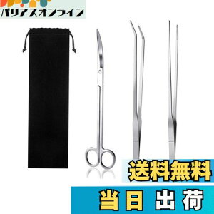 yzYINKE  sZbg & nT~ 3_Zbg XeX p ֗ @\ ٗp p[ܕt