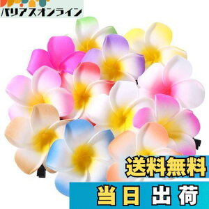 yzFrcolor  wAs wANbv  vA wAANZT[ wANbv nC  wbhhX 6cm 12F 24Zbg