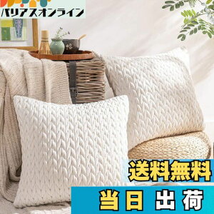 yzPhantoscope NbVJo[ xxbgv[c k 2  e͐ LeBO \t@w   n2WAY zCg 45×45cm