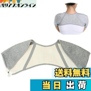 yz[RICISUNG] pT|[^[ p ̕ی EH[}[ \tg₦h~  ۉ [΍ iO[j