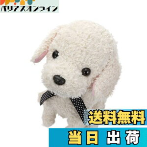 yzZKgCY(SEGA TOYS) RR  N[