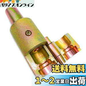 yzMeliore tL  coo H OR c[ JV n}[ pCv h eiX C C coo@ tLpCv p z  ~  (16mm 4)