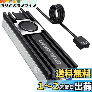 yzGRAUGEAR M.2 2280 SSDq[gVN A~jE 20mm̍t@ ̃q[gpCv w̃q[gVNfbL T[}pbhƂfUC NVME NGFF SATA M.2 SSDɋ͂ȗp