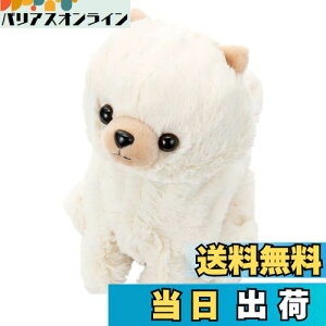 yzZKgCY(SEGA TOYS) RR Premium |jA