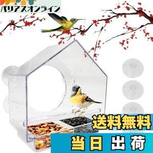 yzp̉aA CTRICALVER O PC vX`bN{bNX (20 x 11 x 20cm) ݂艺zՕtAO\ȃgCƔrt  O  쐶 p