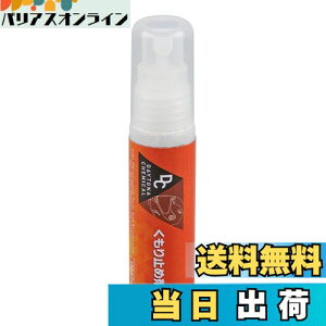 yzfCgi(Daytona) oCNp wbg V[h ܂~ 27ml 62314