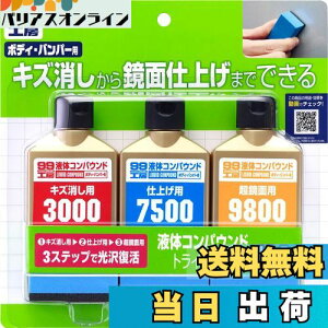 yz\tg99(SOFT99) 99H[ Cpi t̃RpEhgCAZbg hʂ̃LYAdグAʎdグp pX|W 09193