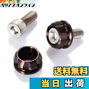 yzfCgi(Daytona) PREMIUM ZONE(v~A][) oCNp io[v[g {g M6×15mm z_[Zbg 2 uY 91954