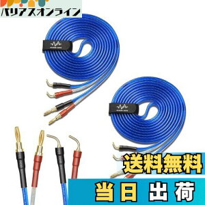 yzyoinz 2{1g LRZbg yoiivOHρz by yWYVERN AUDIOz 24kbL vO Xs[J[ P[u in_ς By WYVERN AUDIO (oiivO̐jvO / 