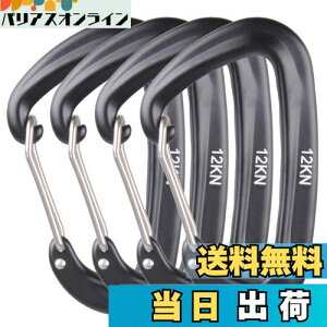 yzAzarxis bNJri ω׏d 12KN(1200kg) oRt A~ Jri DO bLO L[O Eh~ y @\ nbN Lv AEghA