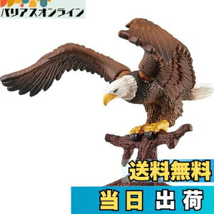 yz^Jg~[ AjA AS-05 V (nNgEV)    3Έȏ