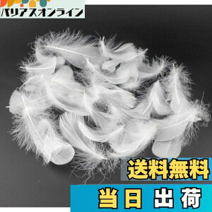 yzKingsie VR H 100Zbg tFU[V[ HV[ |f  EGfBO o (zCg)