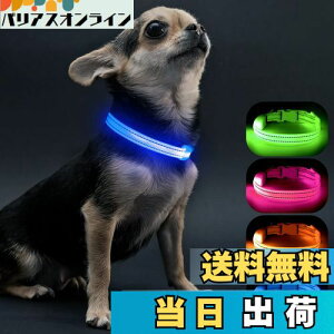 yzVisinite LED, ^ U CgUSB[d, qLɓK߉\Ȓ, y, Â  300m悩ڎ\,  Cg邠ȂɏȌLڂɌĈ