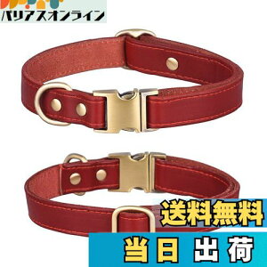 yz  v ̎ _炩 ߉\ ^ ^ ^ pi  ʋC 킢 (, M)