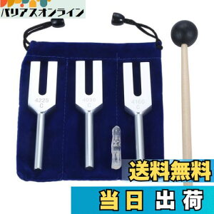 �y���������zDreld �V�g�̉����Z�b�g�i4096Hz�A4160 Hz�A4225 Hz�j �V���R���n���}�[�ƃ\�t�g�X�g���[�W�o�b�O�t�� �y�� �V���o�[