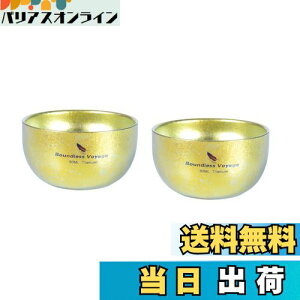 yzBoundless Voyage `^  ۂ dw Lv M y ϔM ₯ǖh~ KтȂ yhȂz ~jRbv u eB[Jbv(S[h(2))Ti3082D