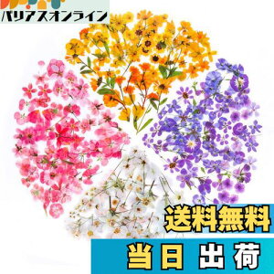 yzYOVOY 164 R[W f V[ ԃV[Zbg t[NV[ XebJ[ e    A 蒠fރXebJ[ KXrƉ