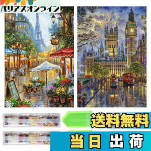 yzTRX _ChA[g Lbg _Ch̊G 2Zbg ꂢ Sʓ\t _ChA[g 5D S l̎q DIY |Lbg Ƃ̕ǂ̑ (Xg[gr