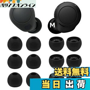 yzA-Pcas C[s[X SonypC[s[X WF-C700npC[s[X WF-C500 p WF-1000XM4p WF-1000XM3p K tBbg  K 􂢉\ VR yubN MTCY 6yAz(