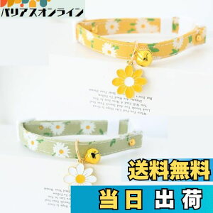 yzYINKE L Lp 2Zbg t f[W[̉ԕ Z[teBobN  lR   ^Kp y S S \ |GXe (O[{CG