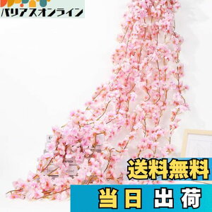 yzsiawadeky  K[h  ͂Ȃ 4{ 135/{ lHϗtA ԗ ʐ^  v|[Y p[eB[  lHǊ| ݂艺 fR[V o