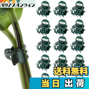 yzPAVIKE m ApNbv 50 AxNbv |Nbv ڂ؃Nbv xUNbv ϋv ͔| ėp\ K[fK[fc[ |֗Nbv |