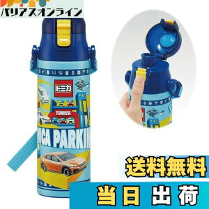 yzXP[^[(Skater) qp XeX   580ml g~J 24 qɗDyʃ^Cv j̎q ۗp waterbottle X|[c{g  LbY q ǂ r SDC6N-A