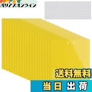 yzKALOLINNA  SV[g  QߊlS ʔS h S ȒPt Q ߒ h nG 쏜 ߊl K[fjO _ ͔| ƒ؉ CG[ (20×10cm,20)