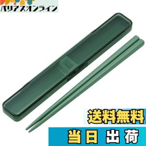 【送料無料】スケーター(Skater) 箸 箸箱 セット セージグリーン 18cm 抗菌 大人用 日本製 ABC3AG-A