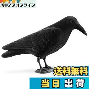 yzNavaris JX u 悯 ރObY - 悯ObY JX悯ObY Nh XY Q΍ - K[fjO C eAG