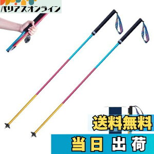 yzTRIWONDER gCjOp|[ 2{Zbg ܂肽ݎ y g|[ gbLO|[ oRXgbN EH[LO|[ mfBbNEH[LO (J