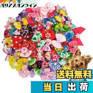 yzKingsie p{ wAoh 20_Zbg ybgp Jt  wAS wAANZT[  A\[g