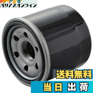 yzfCgi(Daytona) oCNp vCX ICtB^[ XYLn VXg[250 Ȃ 98734 ʂNo:F-11