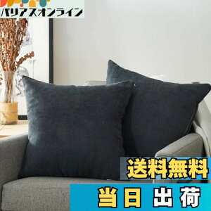 yzTopfinel NbVJo[ lۂ 45×45cm k  Ȗ n \t@w Jo[ zcJo[ ZO[ 2ZbgiS10Fj