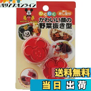 yzXP[^[(Skater) ؔ^ { fBYj[ ~bL[}EX LKVN1-A