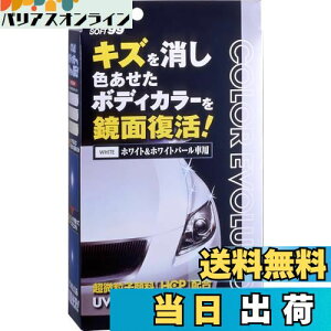 yz\tg99(SOFT99) bNX WAX J[G{[V zCg&zCgp[ ԓhʂ̃LYAیyщop ی܁Ap@NX2ApX|W 005