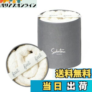 yzĂ^I feel tFCX^I 34×85cm 100 {bNX (~Xg(n))