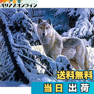 【送料無料】DIYクロスステッチキットダイヤモンド絵画5D塗装キット、冬の雪狼WOWDECORフルドリルDIYダイヤモンドアートペイント数字油絵 (狼)