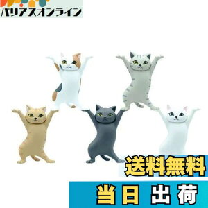 yzMRZJ JKRLyz_[lR̃y S5Zbggyz_[ (5PCS)