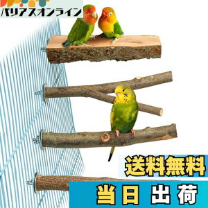 4_Zbg  ~܂ ~܂ ܂𖁂񂲂̖ R ނ ܂ p[` CR IE   ZLZCCR IJCR ₷݃{[h Vѓ P[WANZ