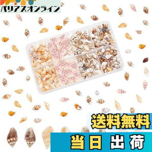 yzPH PandaHall 260 VF Lk Zbg L ~bNX r[`VF fRf r[` ANZT[p[c |pi f   p[eB[  C̓ Ă̑