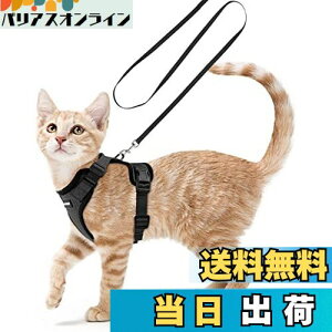 yzRabbitgoo L n[lX [h Zbg ^ Lp Ȃ ́[˂ \tg y グ TCY߉ lR U R 锽 ʋCbV Pݖh~ 