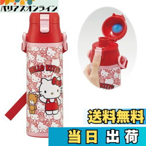 yzXP[^[(Skater) qp XeX   580ml n[LeB 낤 TI qɗDyʃ^Cv ۗp waterbottle X|[c{g 킢LbY q 