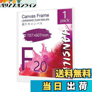HANSILK キャンバス 張りキャンバス キャンバスボード F20 707mmx607mm 【1枚】油絵 画材 画布 油絵の具 ギャラリー用 油彩・アクリル兼用 化繊綿製 オイル漏れ防止 厚手 中目 子供 初心者 野外 学