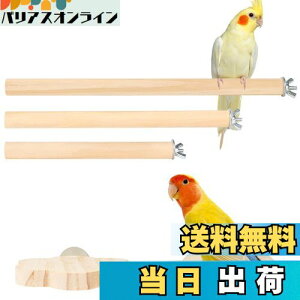 yzIRRVIN 5Zbg p~܂ CR Ƃ܂ X^h CR  p[` CR܂𖁂 ނ xݏꏊ XgX Vѓ P[WX^h tȒP