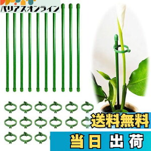 yzBIUTEFOR x | Ax ϗtA x yԎx*10/tH_*20zԎx Ӓϗtx U x AT|[g _Ɨp |pi K[fjOԎxx y30CMz