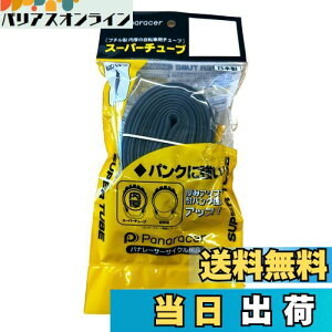 yzpi[T[(Panaracer) { X[p[`[u [W/O 700x28-32C] ou(34mm)0TW728-32F-SP