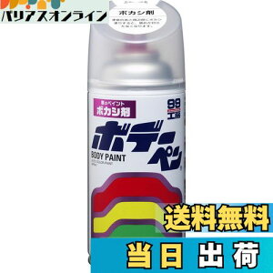 yz\tg99(SOFT99) 99H[ CyCg {f[y {JV 300ml ԃ{fBAop[AA؍ 08004